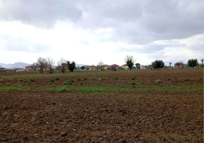 Foto Terreno edificabile in Via della Liberazione, Cartoceto di 9816 m²