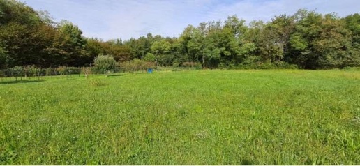 Foto Terreno agricolo in Località Bonate Sotto, Bonate Sotto di 1585 m²