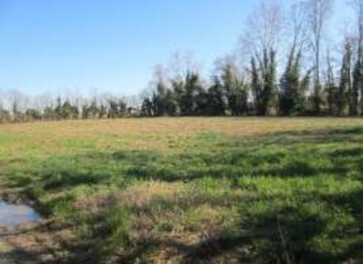 Foto Terreno agricolo in Favaro Veneto, Venezia Favaro Veneto di 20085 m²