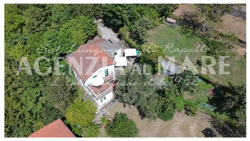 Foto Villa bifamiliare a Rapallo Sant'Andrea di Foggia - Montepegli