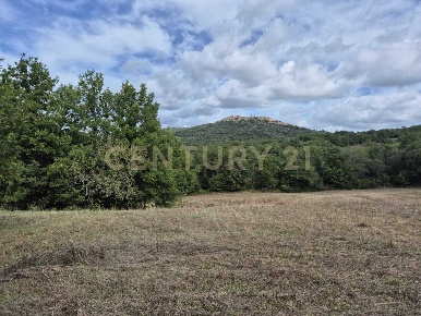 Foto Terreno agricolo in località la vena snc, Civitella Paganico