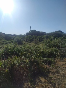 Foto Terreno edificabile in via roma, San Pietro Clarenza di 6850 m²