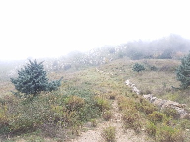 Foto Terreno agricolo in Contrada Strasatto, Monreale di 20000 m²
