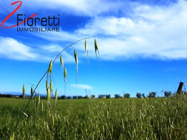 Foto Terreno agricolo a Piombino di 22240 m² in vendita