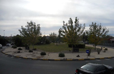 Foto Terreno agricolo in Via Pulei, Mascalucia in vendita