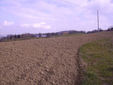 Foto Terreno agricolo in contrada Castelletta s.n.c, Petriolo in vendita