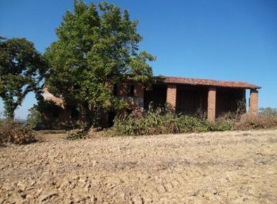 Foto Terreno agricolo a Valenza in vendita