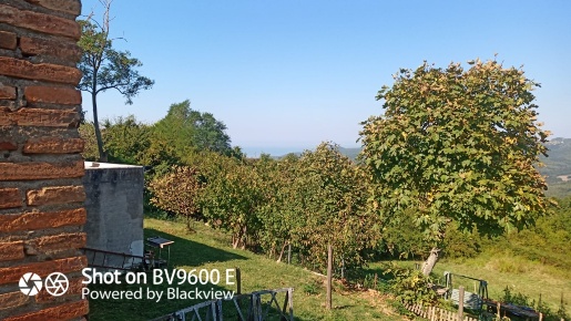 Foto Terreno agricolo in nibbiaia, Rosignano Marittimo di 1500 m²
