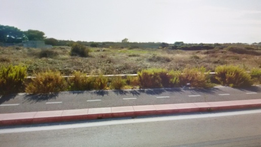 Foto Terreno agricolo in Giovinazzo (Bari), Giovinazzo di 4000 m²