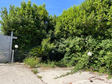 Foto Terreno agricolo in via della padula, Livorno di 1000 m² in vendita