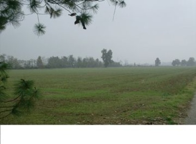 Foto Negozio a Alessandria in vendita