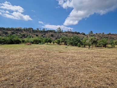 Foto Terreno edificabile a Reggio di Calabria di 2055 m² in vendita
