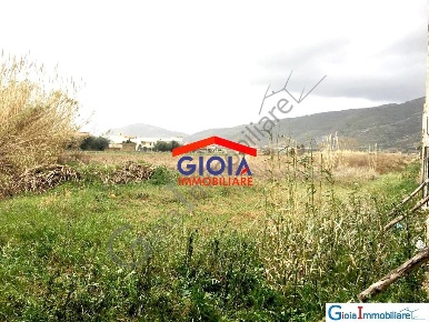 Foto Terreno agricolo a Mondragone di 12000 m² in vendita