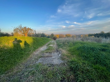Foto Terreno agricolo a Siena di 9000 m² in vendita
