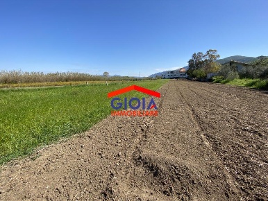 Foto Terreno agricolo a Sessa Aurunca di 123 m² in vendita