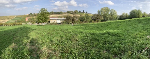 Foto Terreno edificabile in località traniera, Costigliole d'Asti