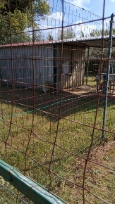 Foto Terreno agricolo in via della Padula, Livorno di 650 m² in vendita