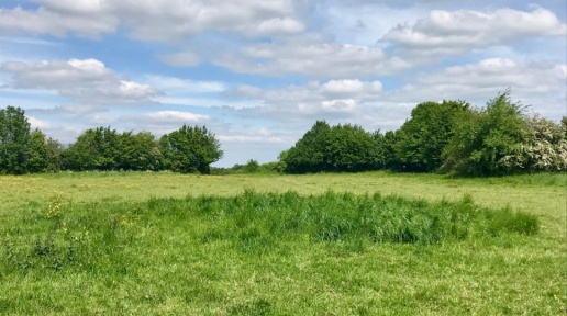 Foto Terreno agricolo in Grumello de zanchi, Zogno di 2000 m² in vendita