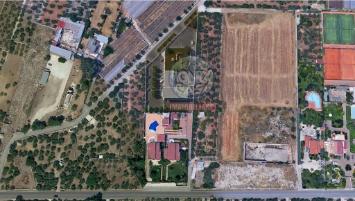 Foto Terreno edificabile a Terlizzi in vendita