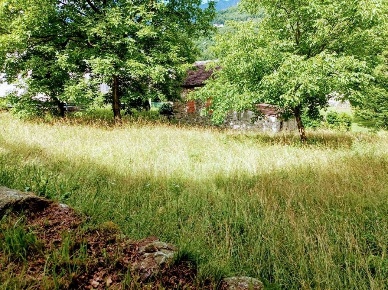 Foto Terreno edificabile in ROLEDO, Montecrestese di 1200 m² in vendita