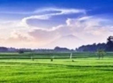 Foto Terreno agricolo a Vercelli in vendita