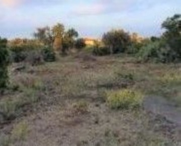 Foto Terreno agricolo in CONTRATA PRACCHIO s.n.c, Belpasso in vendita