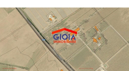 Foto Terreno agricolo in CELLOLE CE VIA DOMIZIANA 18, Cellole in vendita