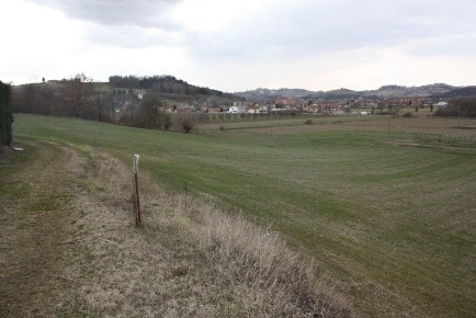 Foto Terreno agricolo in strada san pancrazio s.n.c, Costigliole d'Asti