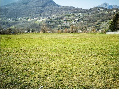 Foto Terreno agricolo in borgata casa delle rane, Domodossola Centro