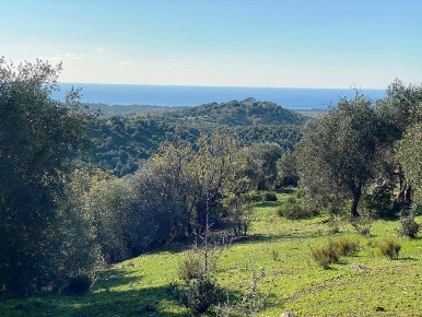 Foto Terreno agricolo a Piombino di 12840 m² in vendita