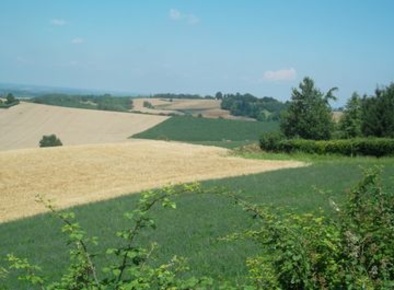 Foto Terreno agricolo a Altavilla Monferrato di 78 m² in vendita