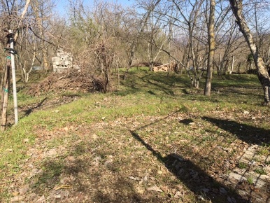 Foto Terreno agricolo in via roma, Montefredane in vendita