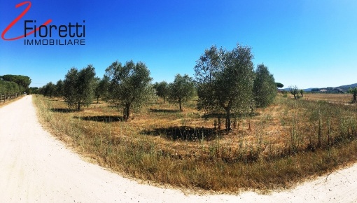 Foto Terreno agricolo a Piombino di 61280 m² in vendita