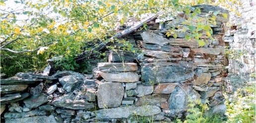 Foto Terreno agricolo in alpe colma, Montescheno Collina delle Muse