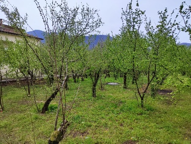 Foto Terreno edificabile in via masucci, Serino di 5000 m² in vendita