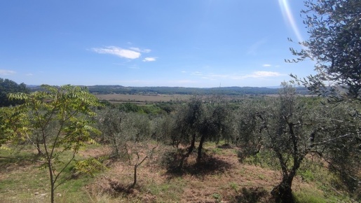 Foto Terreno agricolo in Zona Pian del Lago, Monteriggioni di 10350 m²