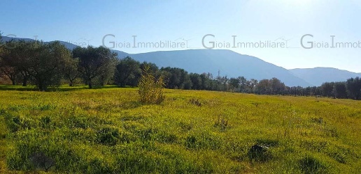 Foto Terreno agricolo a Sessa Aurunca in vendita