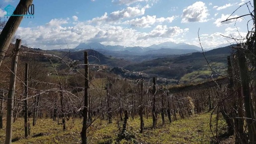 Foto Terreno agricolo a Tufo in vendita