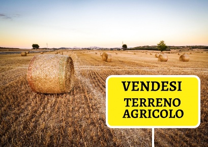Foto Terreno agricolo a Baronissi di 36000 m² in vendita