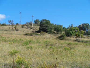 Foto Terreno agricolo in Contrada Fontana Murata, Maletto di 8829 m²