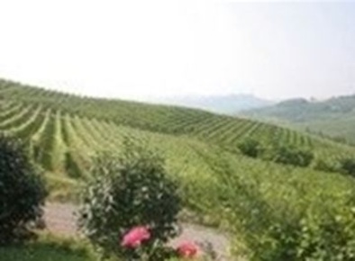 Foto Negozio a Nizza Monferrato di 600 m² in vendita