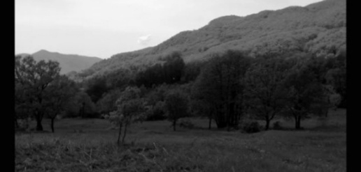 Foto Terreno agricolo a Montemarano di 50000 m² in vendita