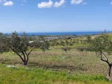 Foto Terreno agricolo in Contrada Burraitotto, Favara in vendita