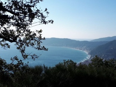 Foto Terreno edificabile in strada Panoramica Vegliasco Cavia, Alassio