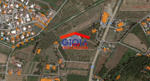 Foto Terreno agricolo a Sessa Aurunca di 3470 m² in vendita