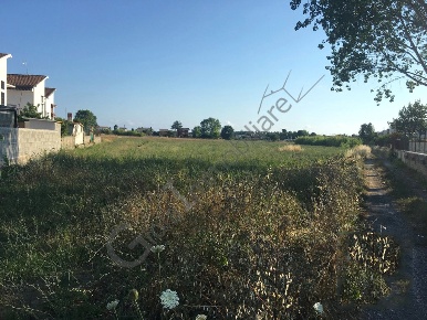Foto Terreno agricolo a Sessa Aurunca in vendita