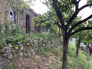 Foto Terreno agricolo in Via Serro Puntale 41, Spadafora di 1659 m²