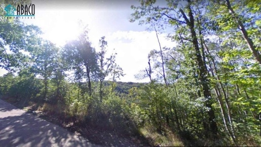 Foto Terreno agricolo in strada Provinciale 47 42, Guardia Lombardi