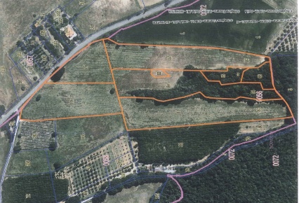 Foto Terreno agricolo a Sovicille di 52000 m² in vendita