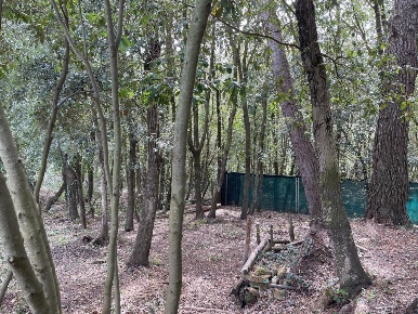 Foto Terreno agricolo in via di collinaia, Livorno di 5400 m² in vendita